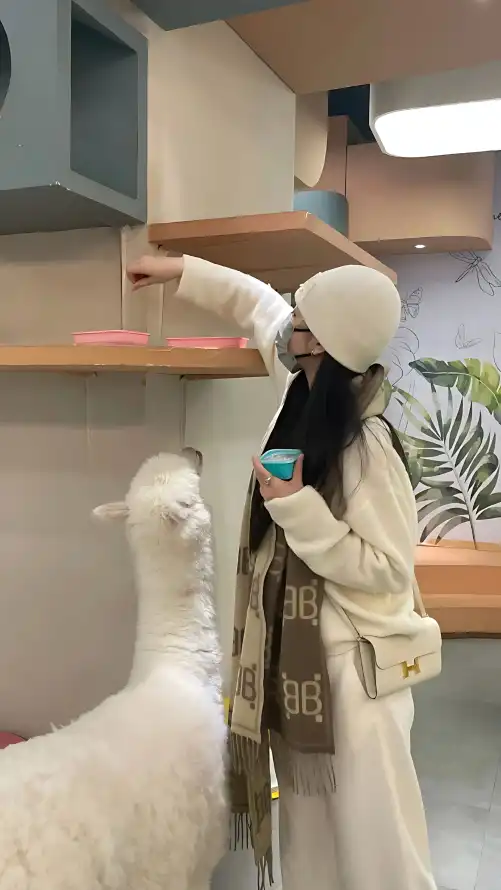 久久精品一区二区国产_欧美成人精品第一区_必赢app下载